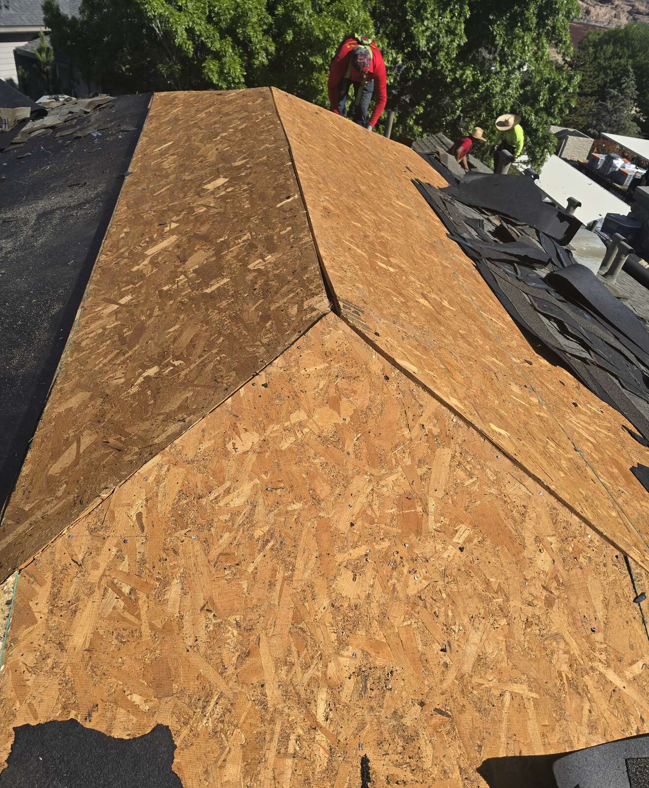 Shingle roof tear-off in progress with fresh OSB decking installed over the hips and ridge while old shingles are piled off to one side.